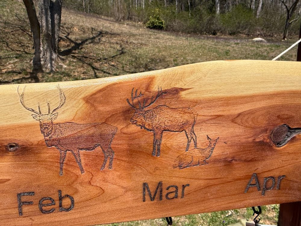 Cataloochee birthday/anniversary 